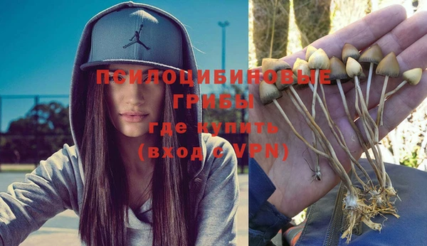 тгк Лихославль