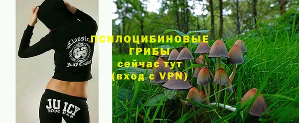 MDMA Лагань