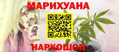 гашик Донецк