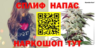 гашик Донецк